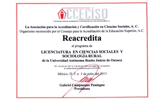 certificado-3
